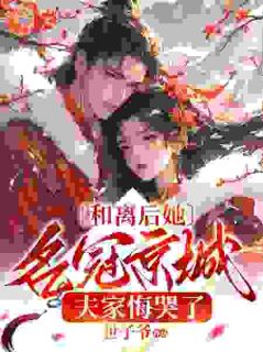 和离后她宠冠六宫了