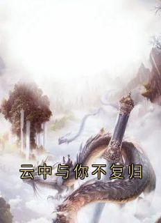 云中与你不复归