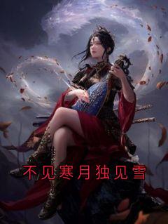 不见寒月独见雪