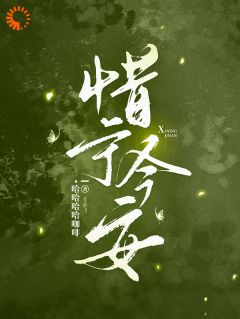 惜宁今安