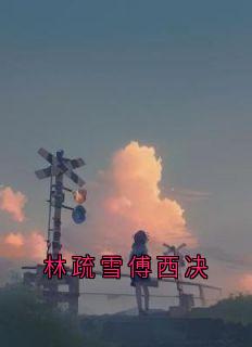林疏雪傅西决