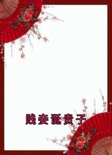 贱妾诞贵子