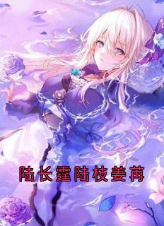 陆长霆陆枝姜苒
