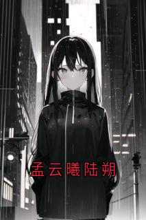 孟云曦陆朔