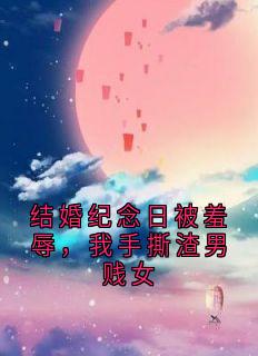 结婚纪念日被羞辱，我手撕渣男贱女