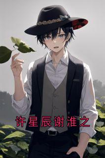 许星辰谢淮之
