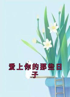 爱上你的那些日子