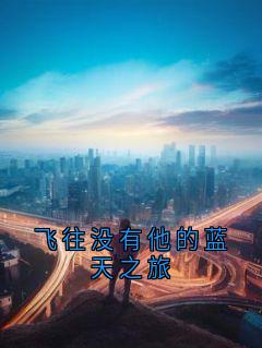 飞往没有他的蓝天之旅