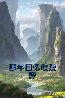 那年回忆吹漫野