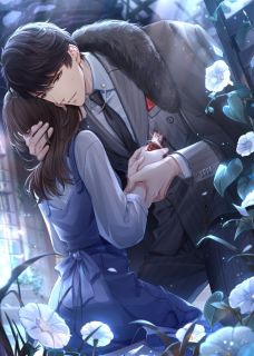 情浅缘亦浅