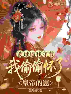 婆母逼我守节,我偷偷怀了皇帝的崽