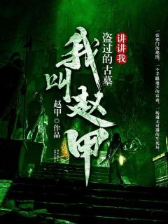 我叫赵甲，讲讲我盗过的古墓