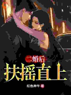 二婚后扶摇直上