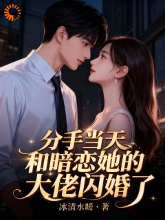 分手当天，和暗恋她的大佬闪婚了