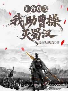 刘备负我，我助曹操灭蜀汉