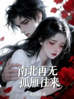 南北再无孤雁往来