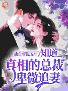 独自带崽五年，知道真相的总裁卑微追妻