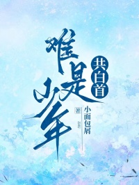 难是少年共白首