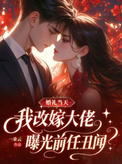 婚礼当天,我改嫁大佬曝光前任丑闻
