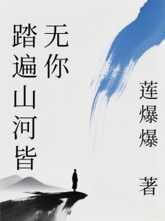 踏遍山河皆无你