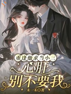重逢他求当小三，心肝，别不要我