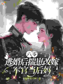六零:逃婚后揣崽改嫁军官当后妈