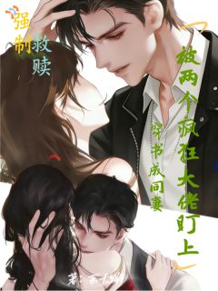 穿书成同妻,被两个疯狂大佬盯上