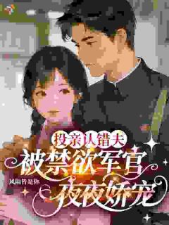 投亲认错夫,被禁欲军官夜夜娇宠