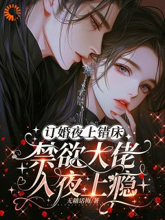 订婚夜上错床，禁欲大佬入夜上瘾