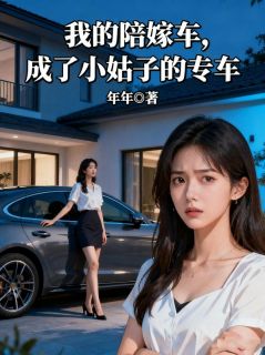 我的陪嫁车,成了小姑子的专车