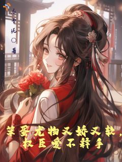 双洁甜宠！权臣大人只偏爱我一人