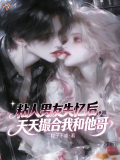 粘人男友失忆后天天撮合我和他哥