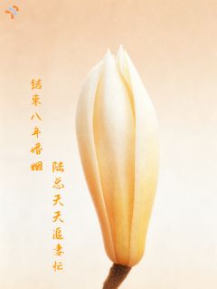 离婚证摸着发烫，我才知道弄丢了她