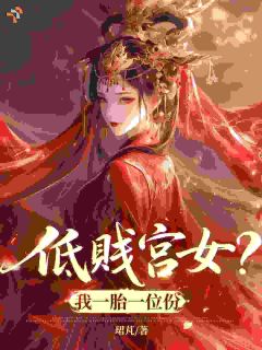 重生宫女逆袭,夺下属于我的皇长子