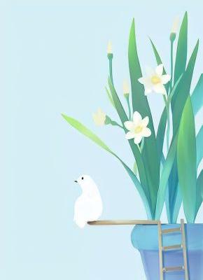 离婚后，前夫发现我才是他白月光